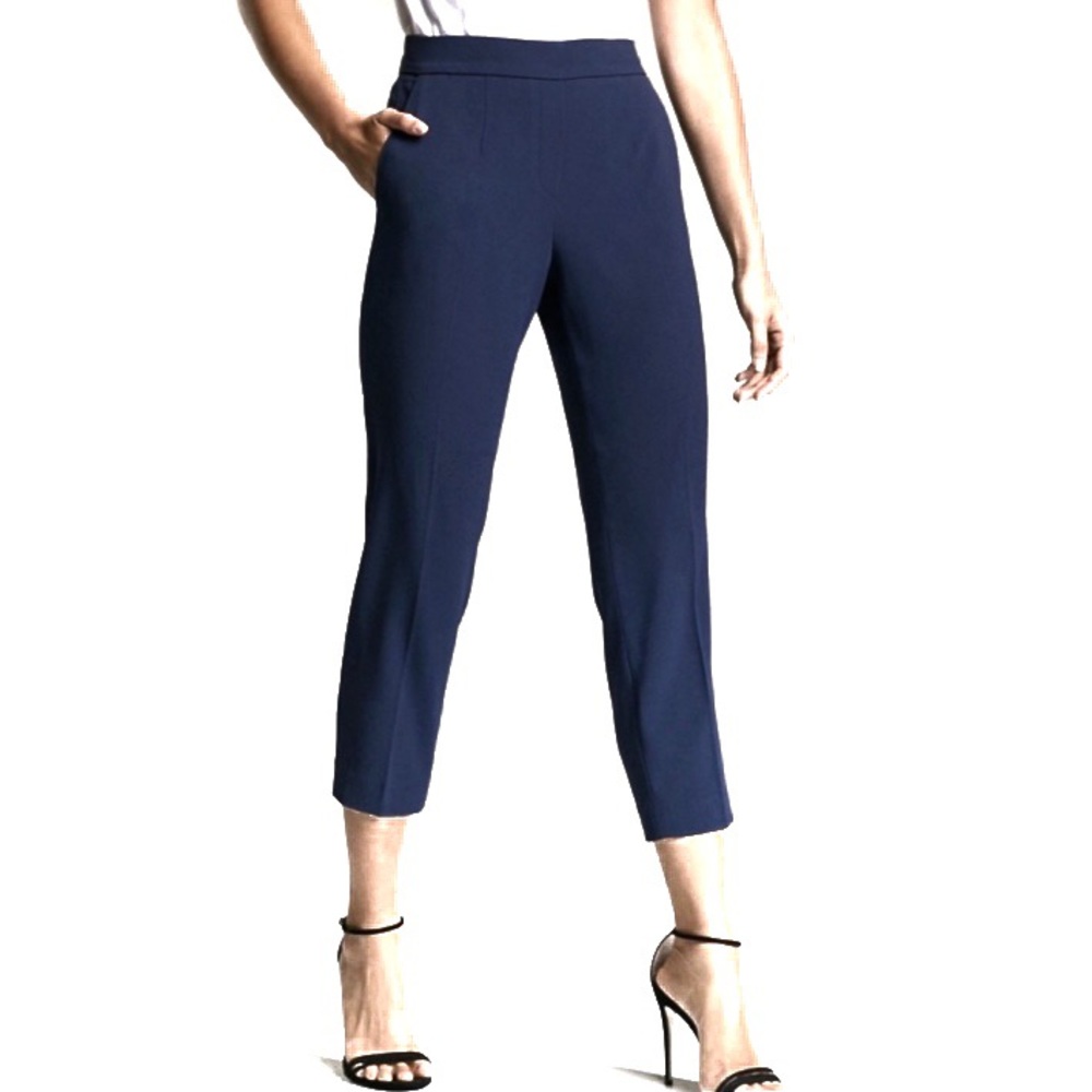 Aritzia Babaton Conan high rise pants